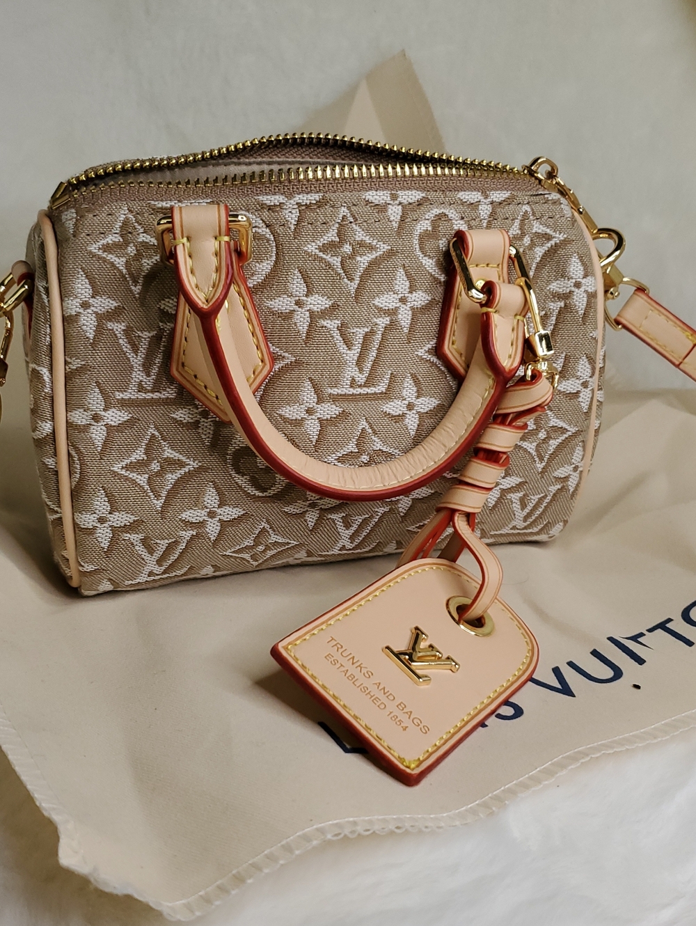 Lv Mini Monogram Velvet Satchel in Light Beige and Cream